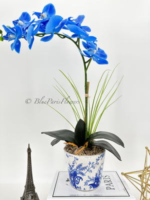 Real Touch Elegant Sky Blue Single Stem Phalaenopsis Orchid Arrangement, French Country Luxury Flower in Vase Table Centerpiece Modern Decor