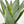 Succulents in White Vase, Faux Artificial Greens Succulents Plants Table Centerpiece Floral Decor Centerpiece Faux Florals