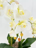 Ivory White 3 Stems Phalaenopsis Orchid Arrangement, Real Touch Flower in Gold Vase | Table Centerpiece | Floral Decor | Flower Arrangement