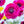 Modern Decor, Tall Fuchsia Poppy Artificial Faux Arrangement in Vase. Elegant Floral Faux Floral Centerpiece, Home, Office Decor Arrangement