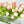 100 Pink Modern Long REAL TOUCH Tulips Arrangement Artificial Faux Table Centerpiece Floral Flower Arrangement Wedding French Style Decor