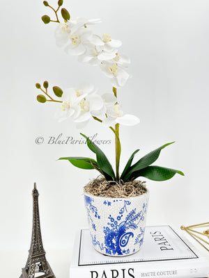 Real Touch Elegant White Double Stems Phalaenopsis Orchid Arrangement, French Country Luxury Flower in Vase Table Centerpiece Modern Decor