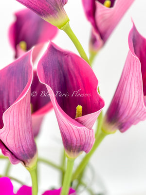Magenta Pink Calla Lilies Phalaenopsis Orchid Arrangement, Real Touch Flower in Glass Vase | Table Centerpiece Floral French Decor Flower