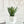 Succulents in White Vase, Faux Artificial Greens Succulents Plants Table Centerpiece Floral Decor Centerpiece Faux Florals