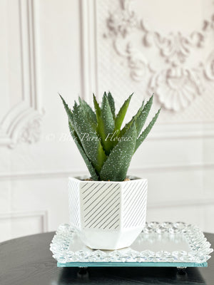 Succulents in White Vase, Faux Artificial Greens Succulents Plants Table Centerpiece Floral Decor Centerpiece Faux Florals