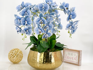 Tall Blue 5 Stems Phalaenopsis Orchid Arrangement, Real Touch Flower in Vase | Elegant Table Centerpiece | Floral Decor | Flower Arrangement