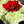 REAL TOUCH Green Hydrangeas, Red Magnolia Arrangement, Artificial Faux Centerpiece, Floral Flowers in Rose Gold Vase Home Decor Blue Paris