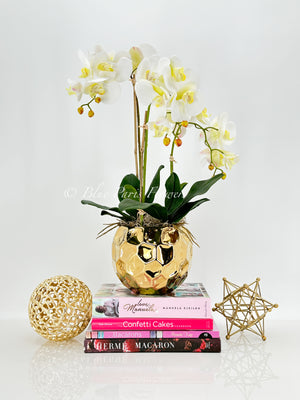 Ivory White 3 Stems Phalaenopsis Orchid Arrangement, Real Touch Flower in Gold Vase | Table Centerpiece | Floral Decor | Flower Arrangement