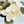 Luxurious White Magnolia Arrangement Real Touch/Silk Artificial Faux Centerpiece-Fake Flower Centerpiece-Home Decor Floral Gift Blue Paris