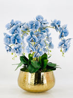 Tall Blue 5 Stems Phalaenopsis Orchid Arrangement, Real Touch Flower in Vase | Elegant Table Centerpiece | Floral Decor | Flower Arrangement