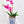 Real Touch Elegant Magenta Double Stems Phalaenopsis Orchid Arrangement, French Country Luxury Flower in Vase Table Centerpiece Modern Decor