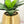 Succulents in Gold Vase, Faux Artificial Greens Succulents Plants Table Centerpiece Floral Decor Centerpiece Faux Florals
