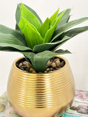 Succulents in Gold Vase, Faux Artificial Greens Succulents Plants Table Centerpiece Floral Decor Centerpiece Faux Florals