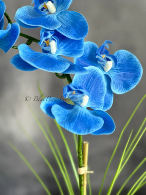 Real Touch Elegant Sky Blue Single Stem Phalaenopsis Orchid Arrangement, French Country Luxury Flower in Vase Table Centerpiece Modern Decor