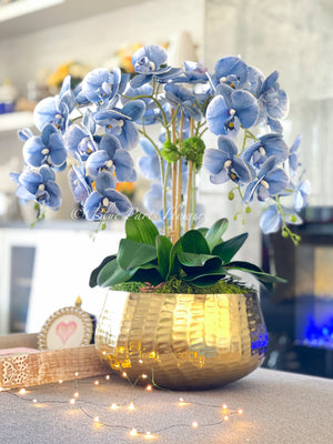 Tall Blue 5 Stems Phalaenopsis Orchid Arrangement, Real Touch Flower in Vase | Elegant Table Centerpiece | Floral Decor | Flower Arrangement