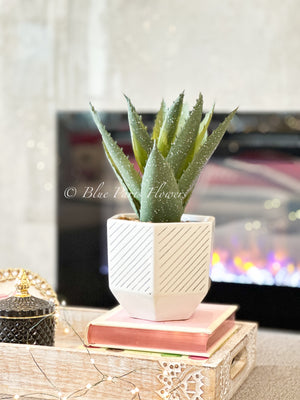 Succulents in White Vase, Faux Artificial Greens Succulents Plants Table Centerpiece Floral Decor Centerpiece Faux Florals