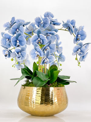 Tall Blue 5 Stems Phalaenopsis Orchid Arrangement, Real Touch Flower in Vase | Elegant Table Centerpiece | Floral Decor | Flower Arrangement